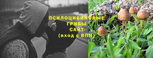 ALPHA PVP Осташков